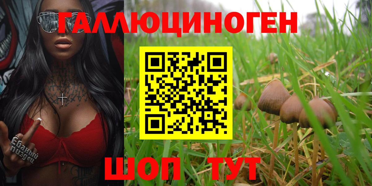 Псилоцибиновые грибы мицелий  цена наркотик  Вход с VPN  Барнаул  Псилоцибиновые грибы Psilocybe 